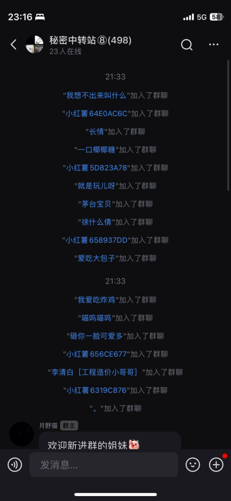 图片[2]资源站【小红书】在小红书发身材、战群一类的图，引流女生到小红书群。然后引流到微信，直接朋友圈卖情趣用品资源站资源站